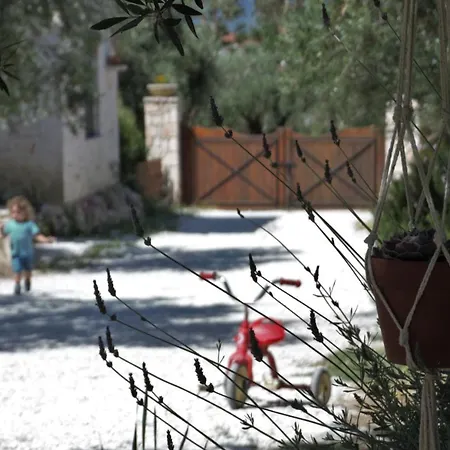Lioriza Country Holiday home Kalamaki (Zakynthos)