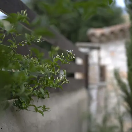 Holiday home Lioriza Country Kalamaki (Zakynthos)