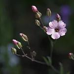 Lioriza Country 別荘 Kalamákion