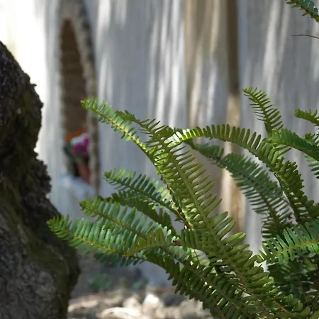 Nyaraló Lioriza Country